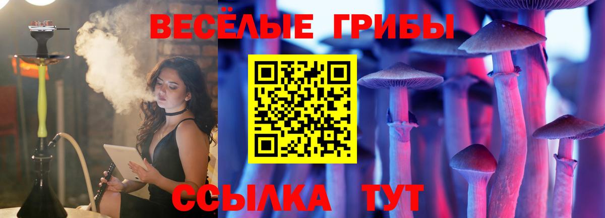Псилоцибиновые грибы Psilocybine cubensis  Галлюциногенные грибы GOLDEN TEACHER  Вход с VPN  Арсеньев 
